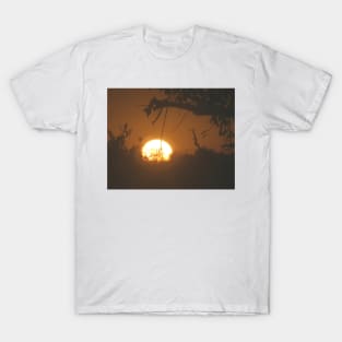 dawn T-Shirt